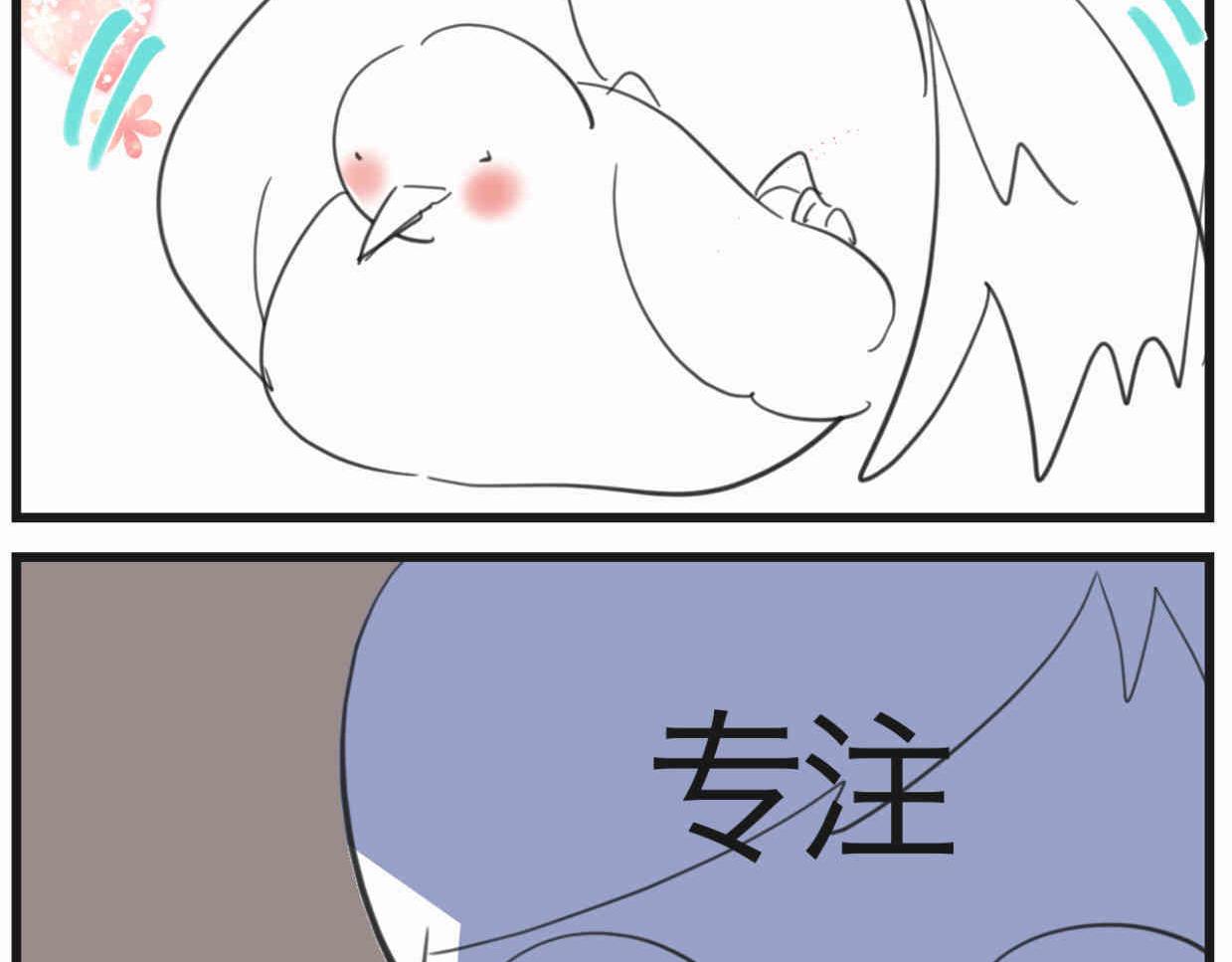 119.小鸡的爱情16