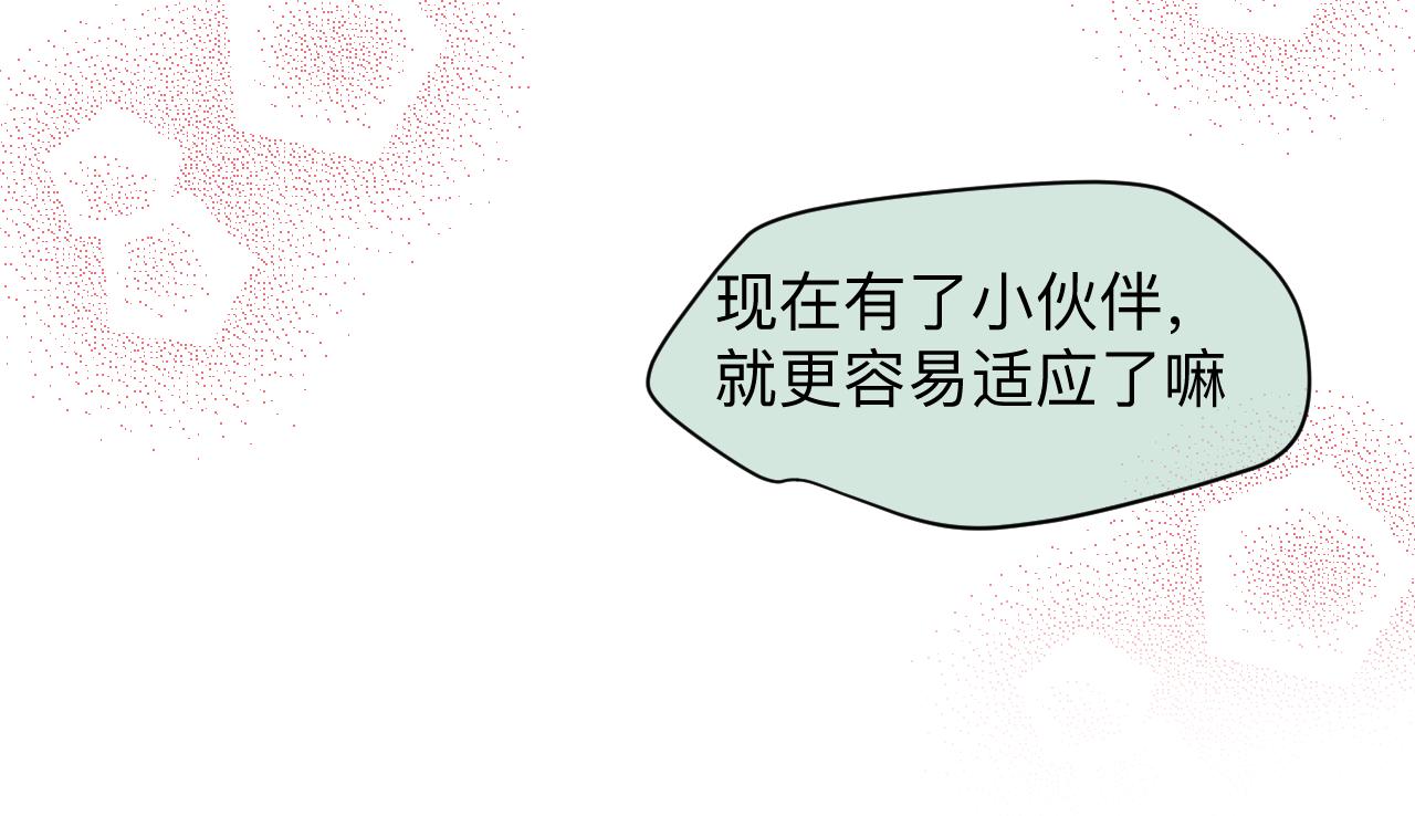 126.哥哥的足球夏令营38