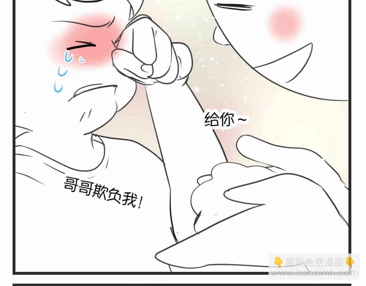113.木棉花的种子15
