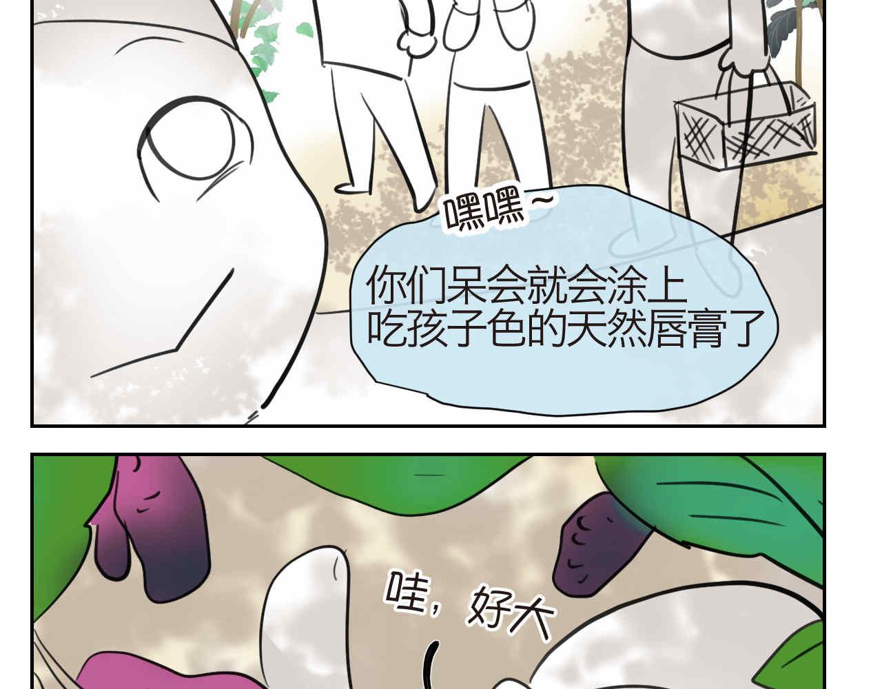 35.桑果园1