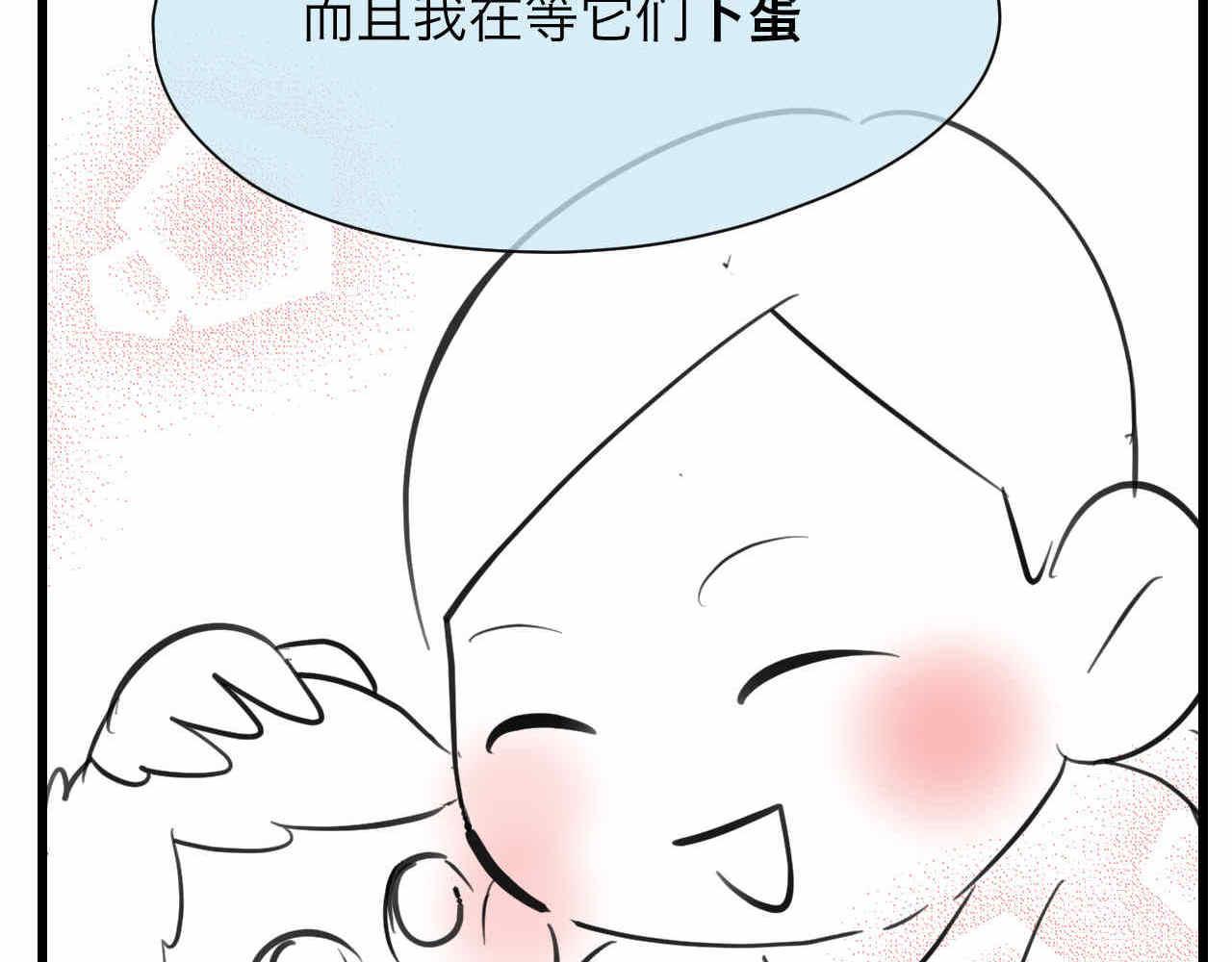 81.网红小鸡22