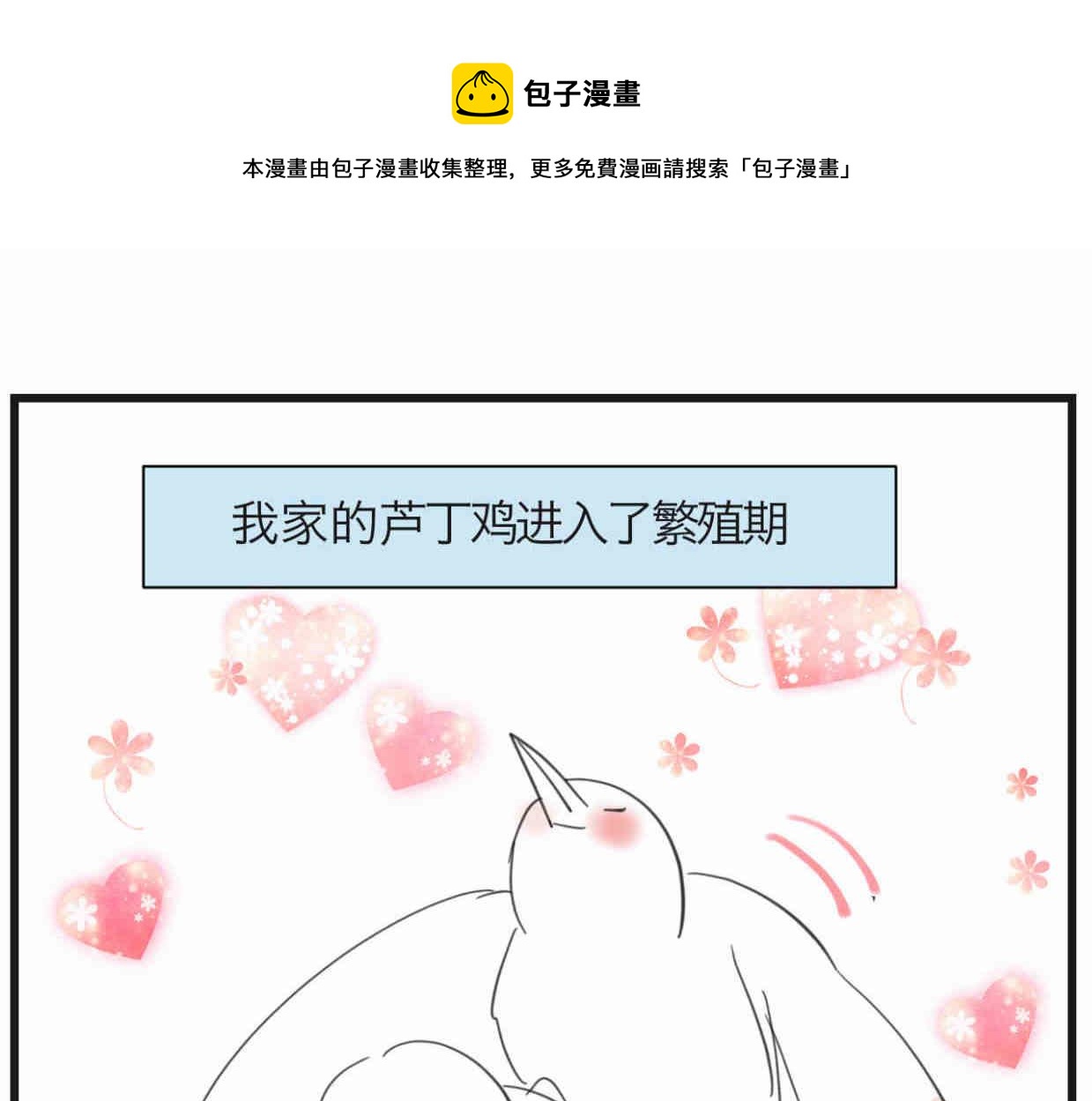 119.小鸡的爱情0