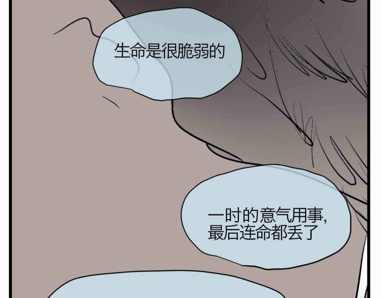 114.小鸡的死因20