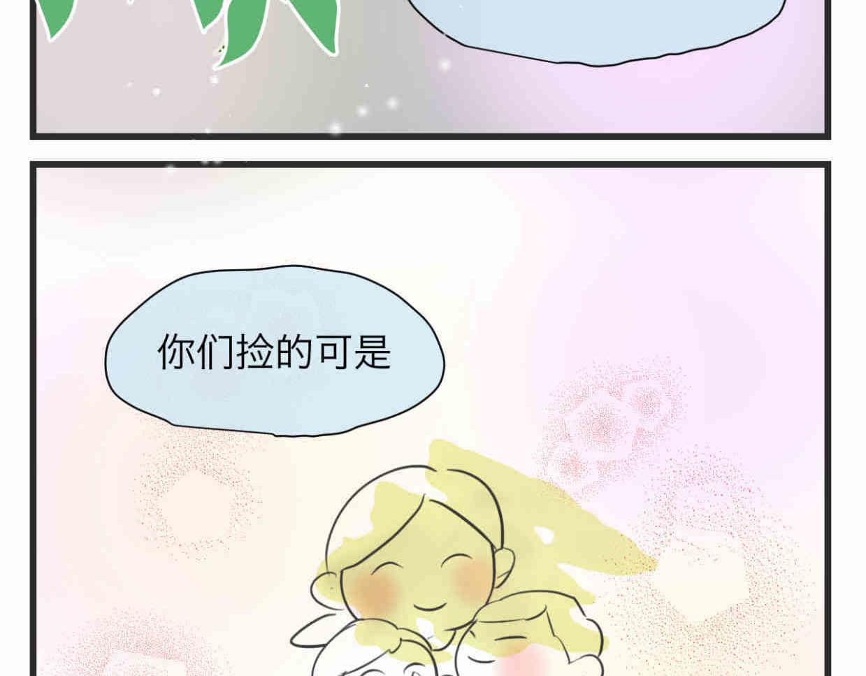 113.木棉花的种子7