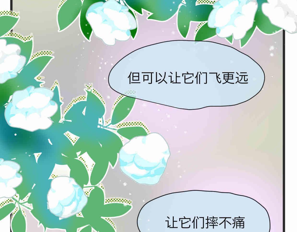 113.木棉花的种子6