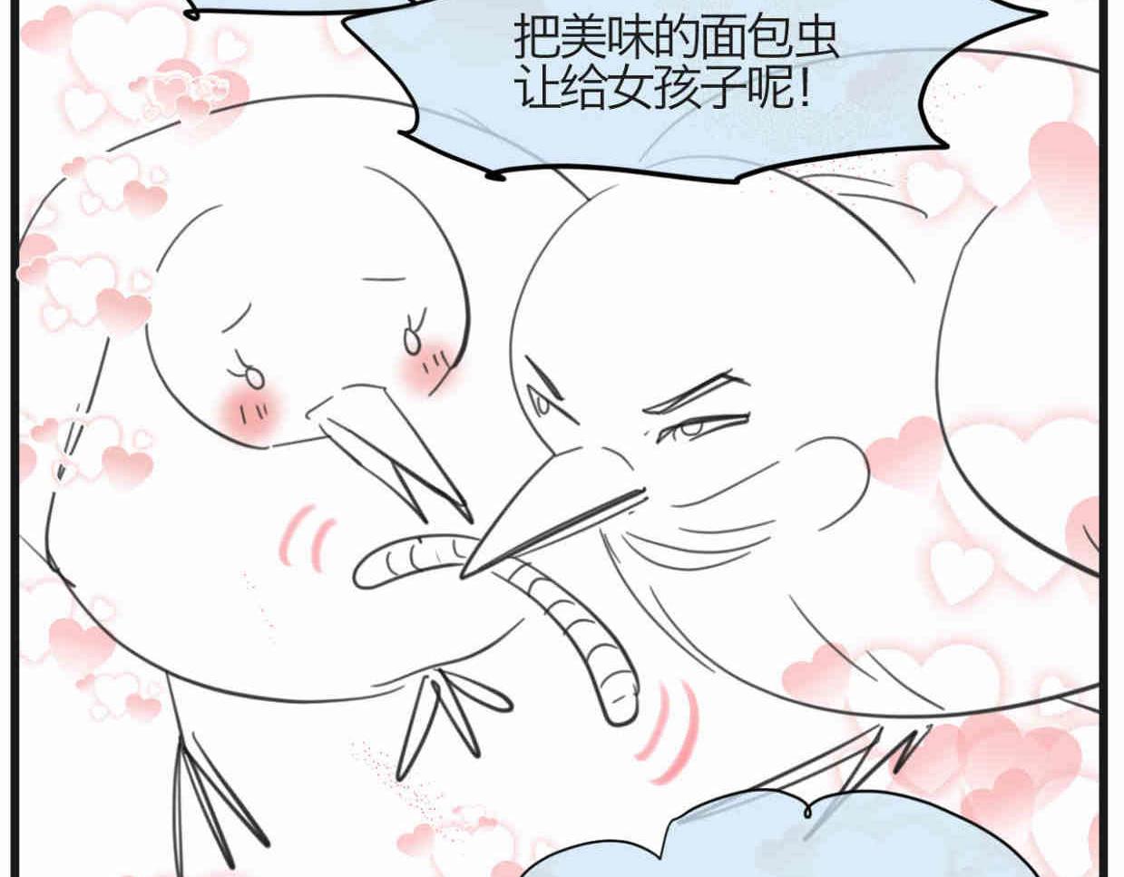 119.小鸡的爱情5