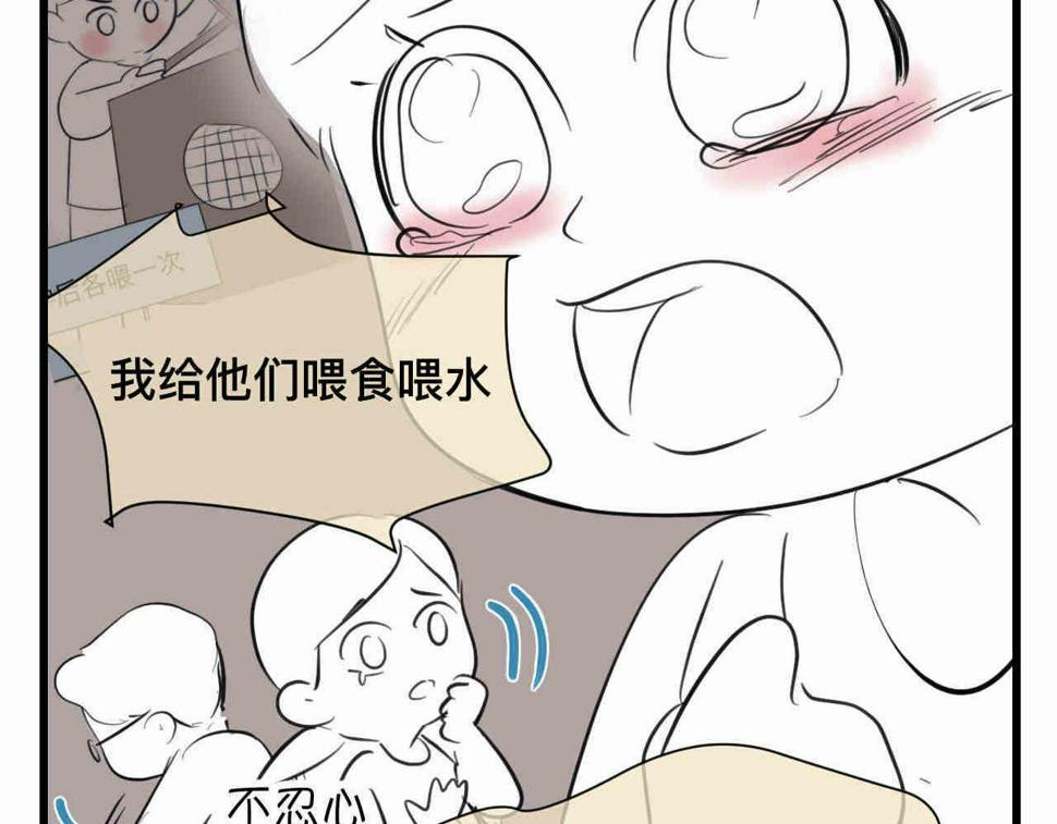 98.小鸡的重量7