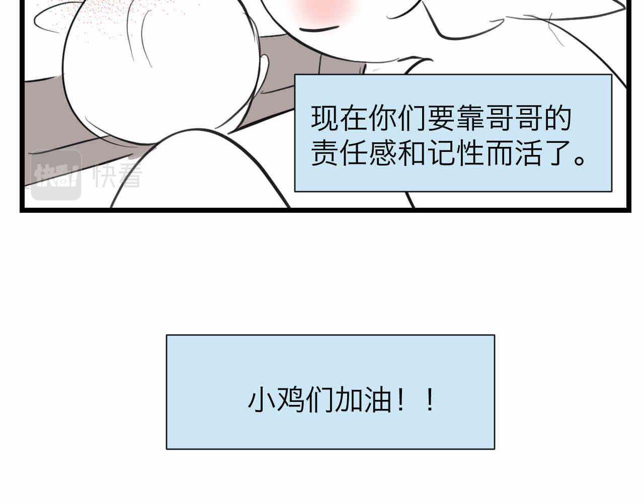 81.网红小鸡5