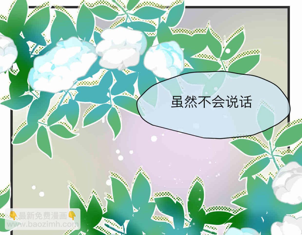 113.木棉花的种子5
