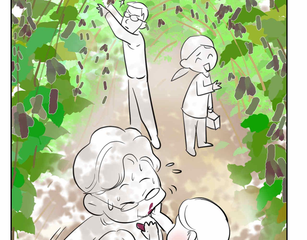 35.桑果园14
