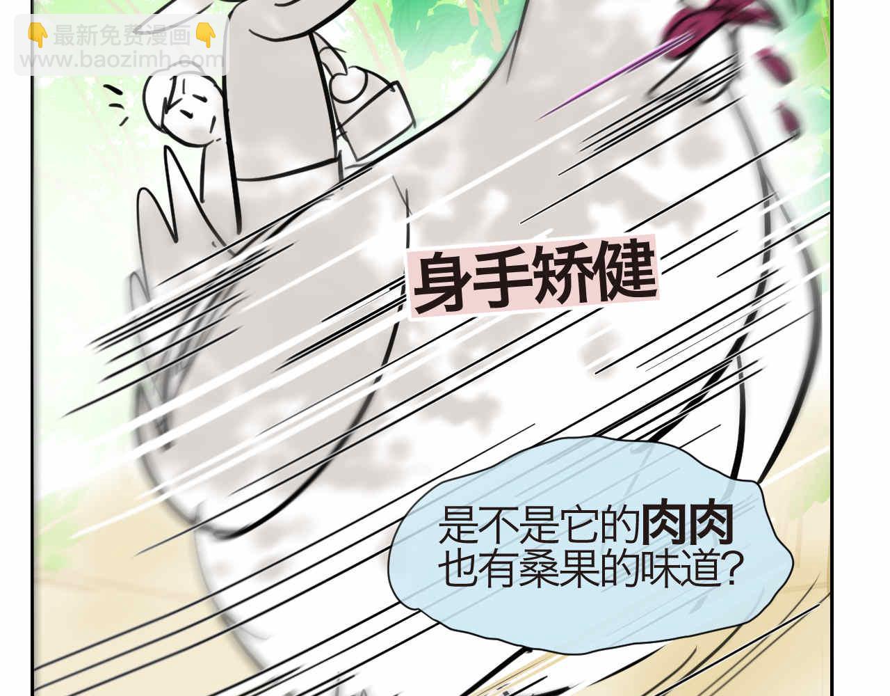 35.桑果园7