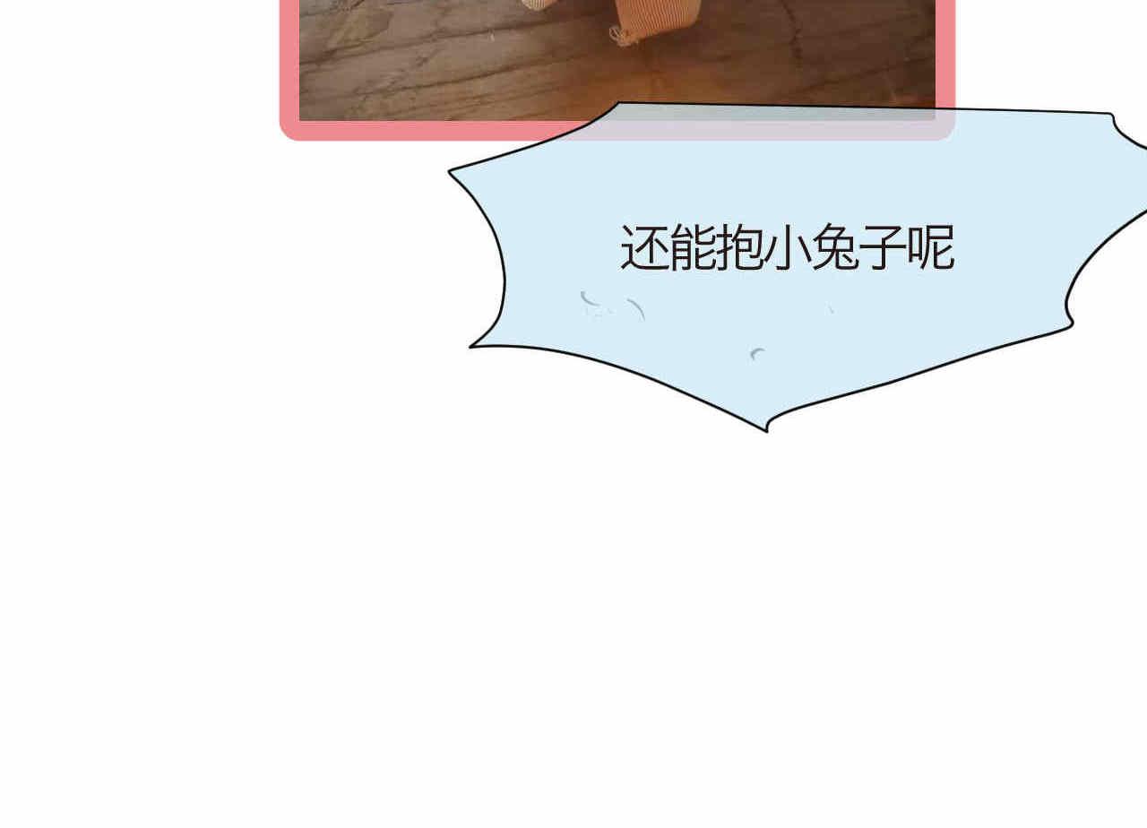 77.弟弟的公仔29