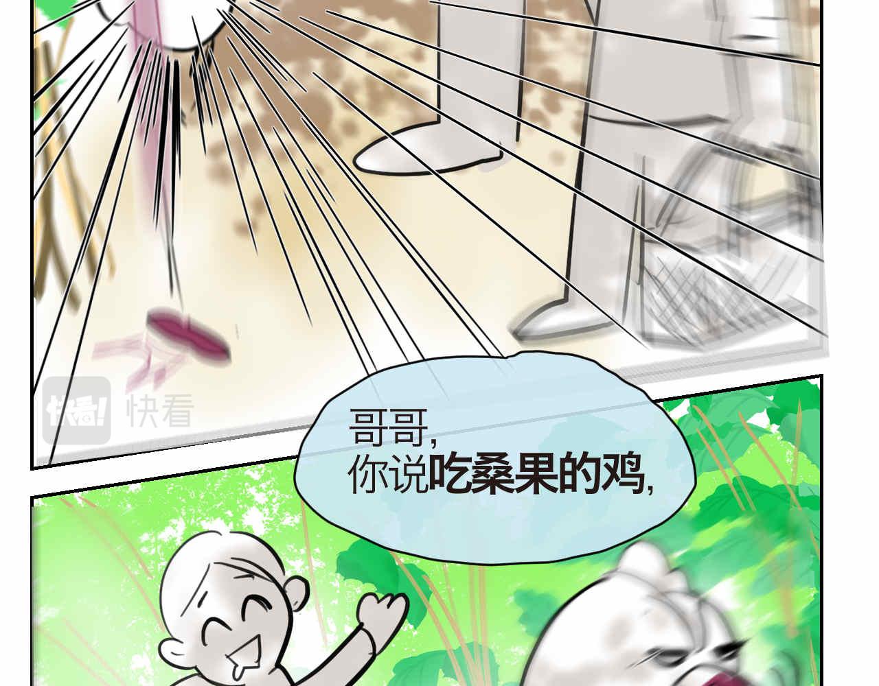 35.桑果园6