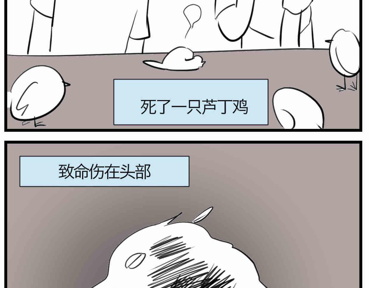 114.小鸡的死因2