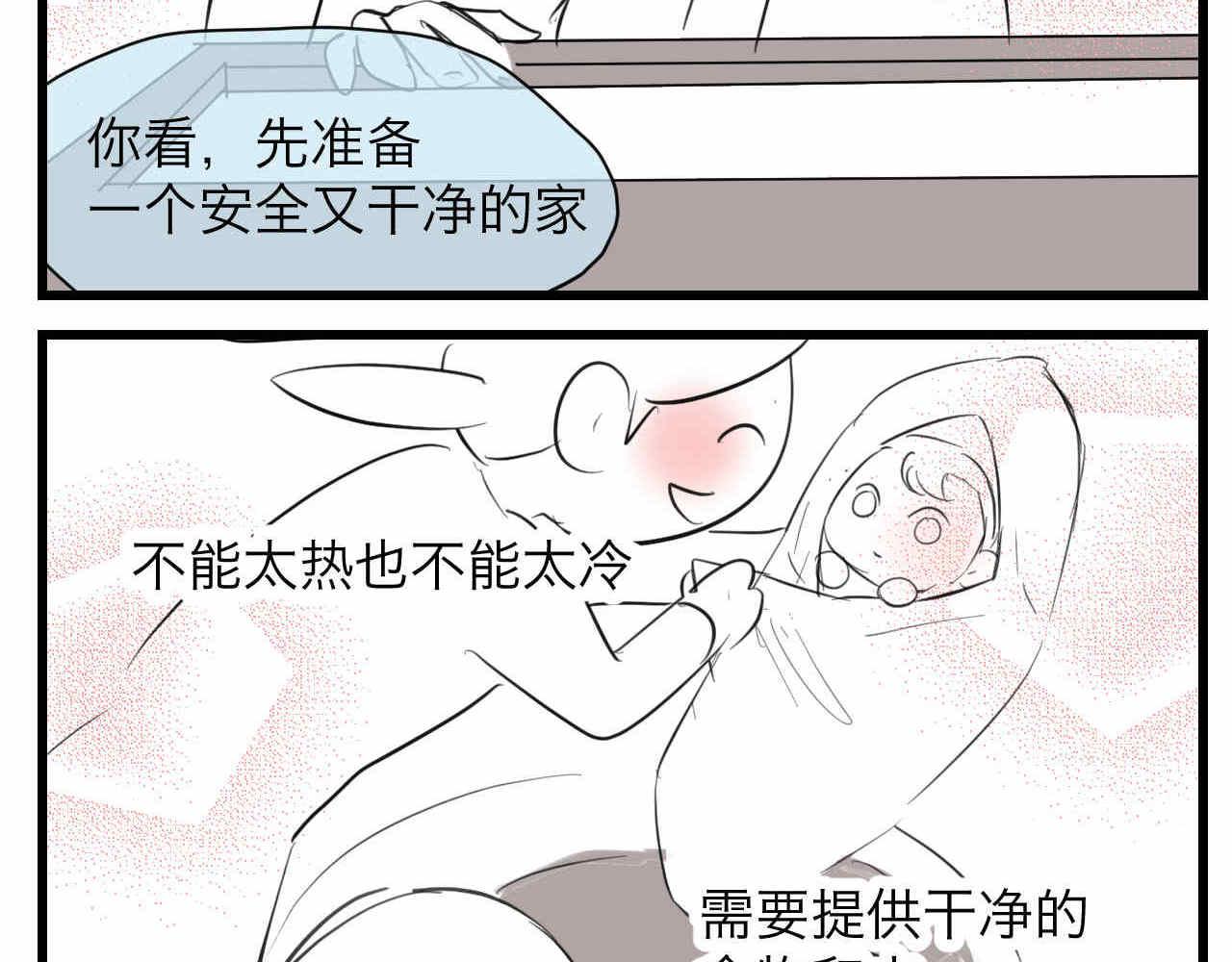 81.网红小鸡11