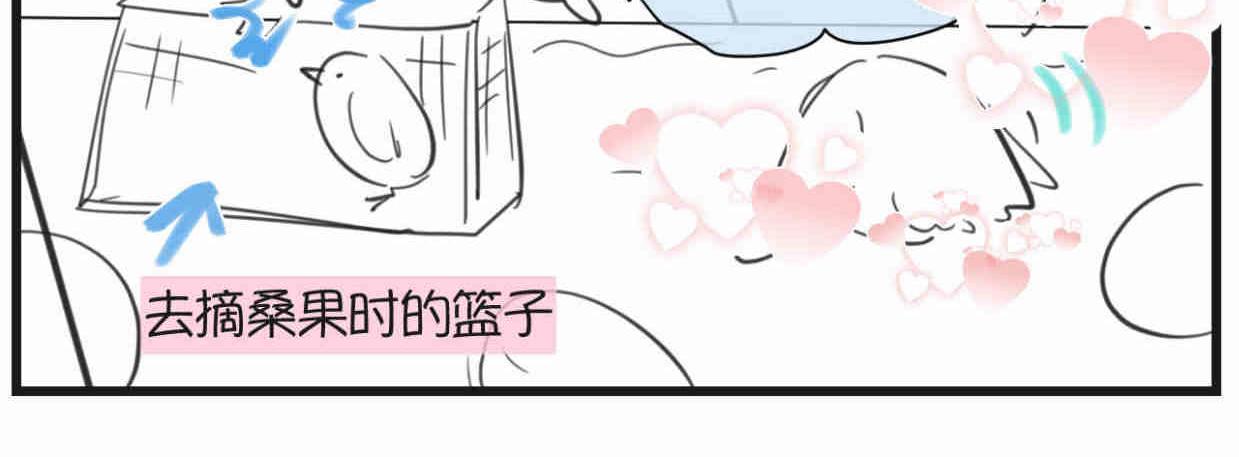 119.小鸡的爱情11