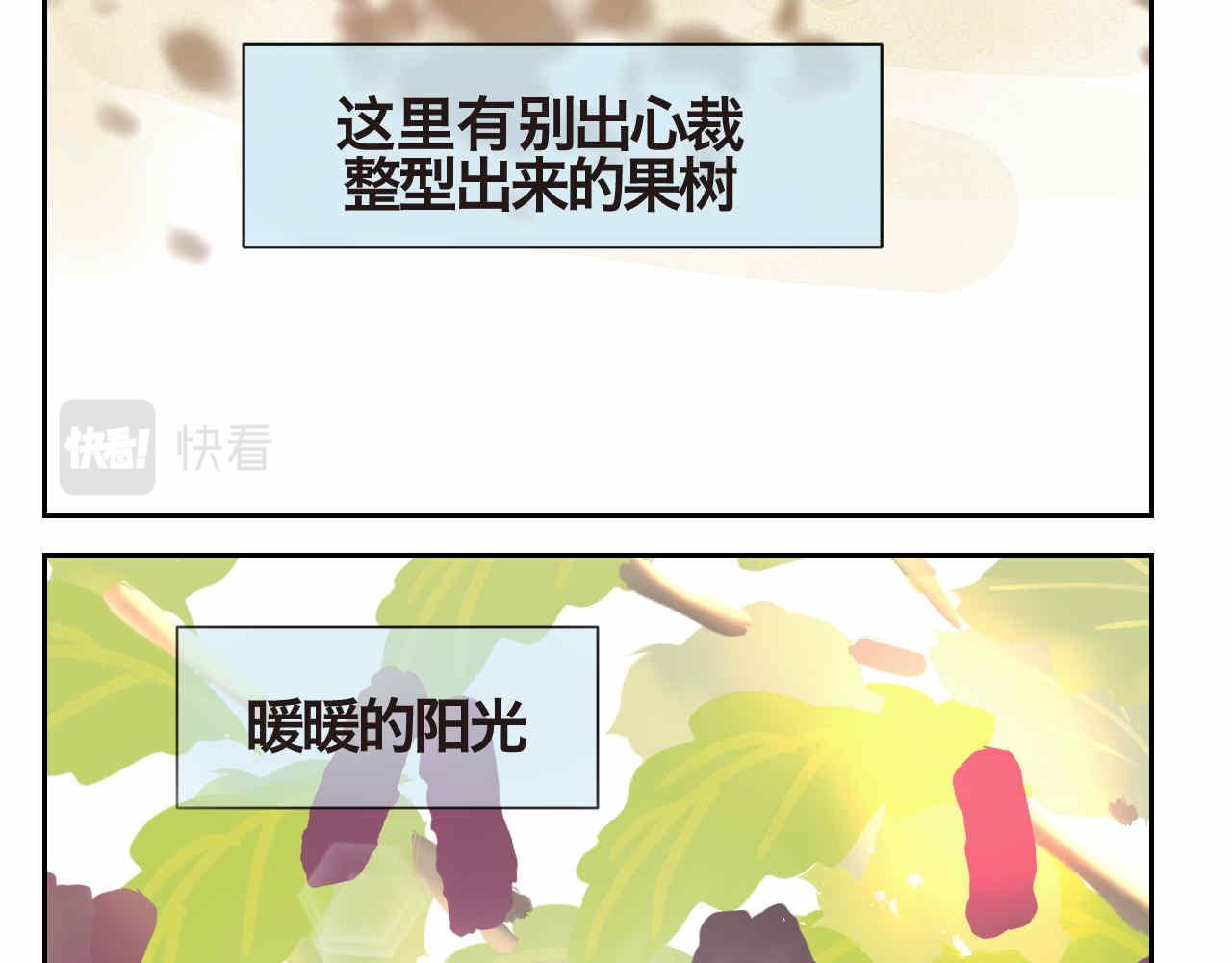 35.桑果园16