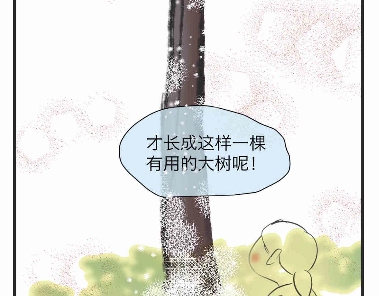 113.木棉花的种子19