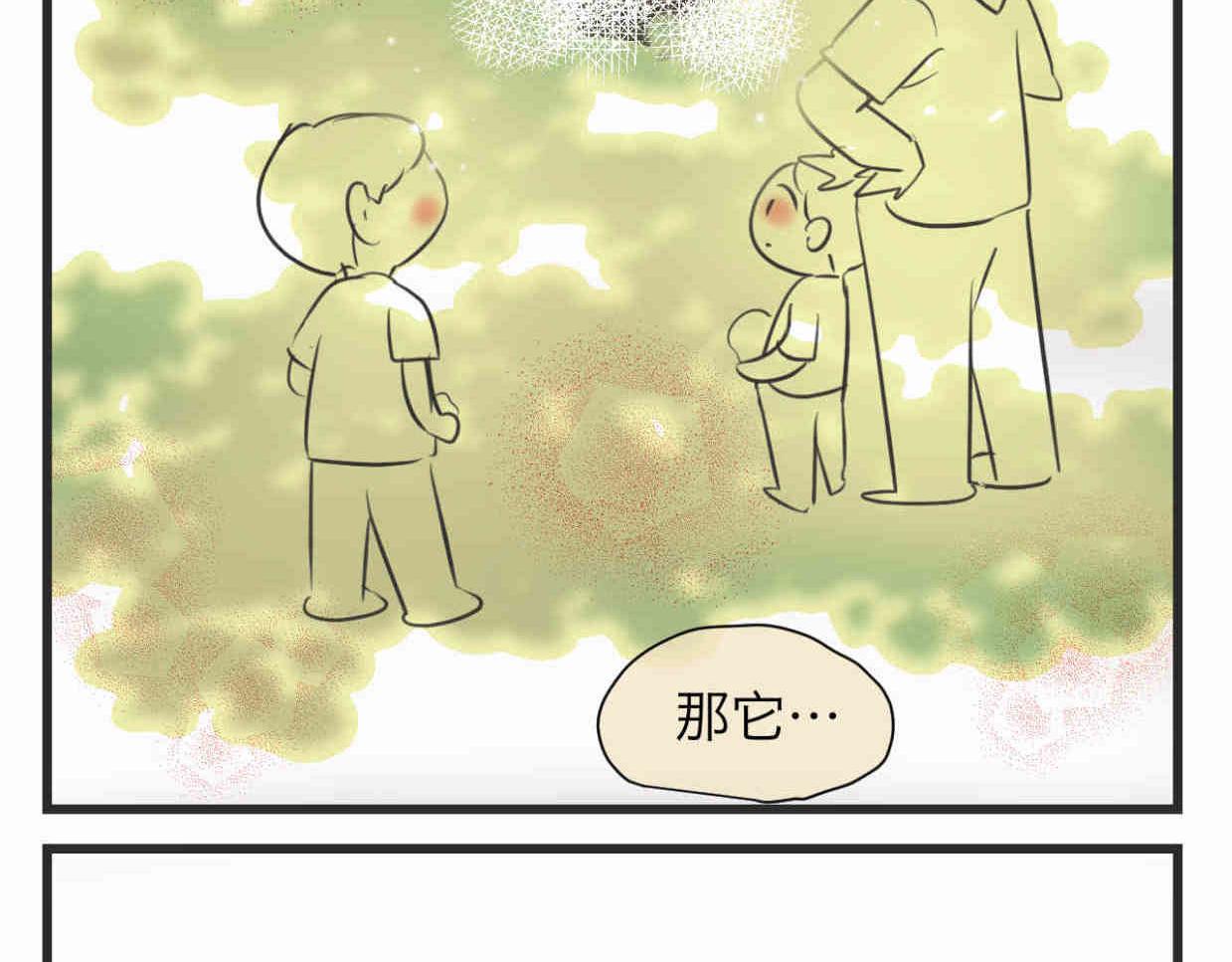 113.木棉花的种子20