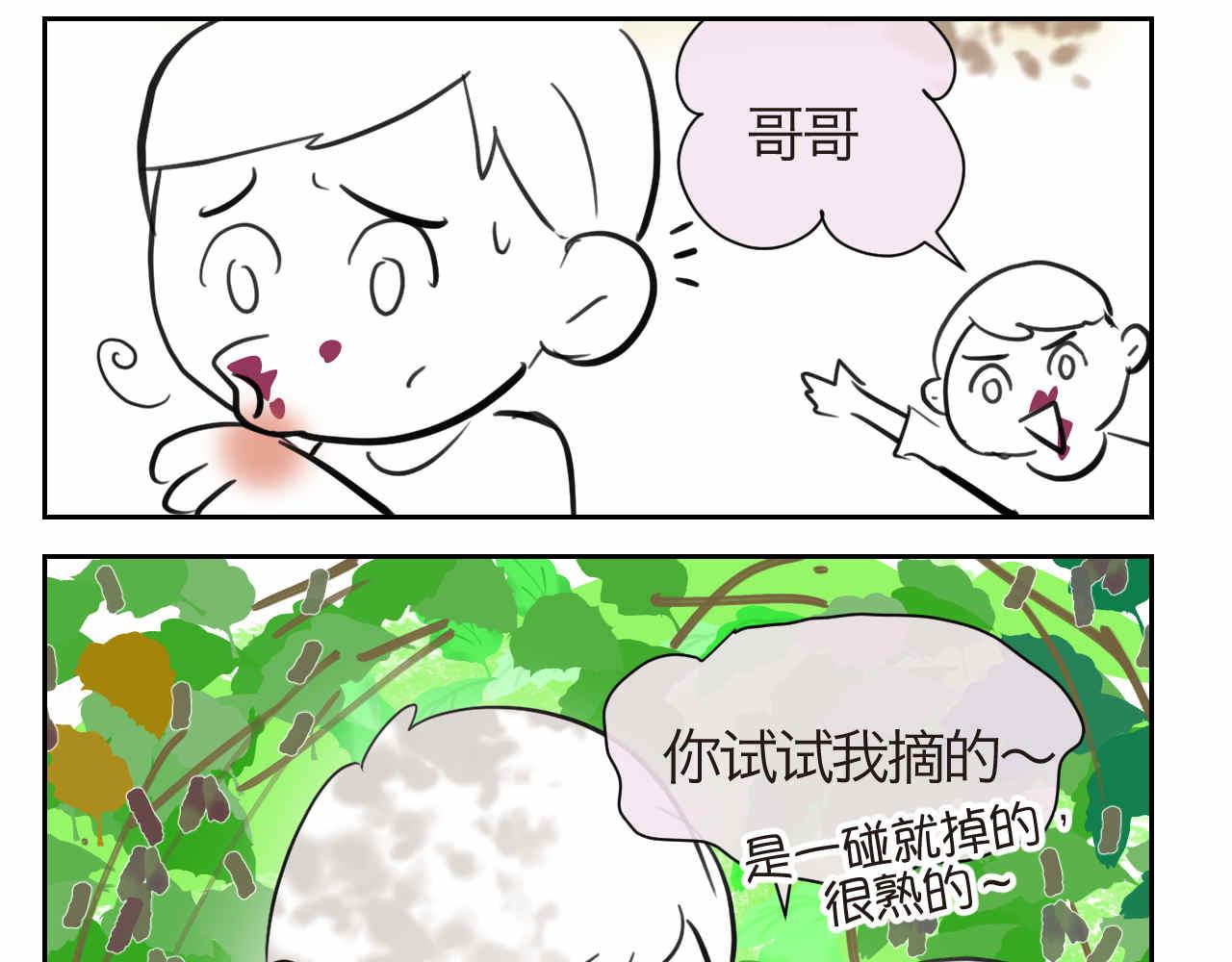 35.桑果园11