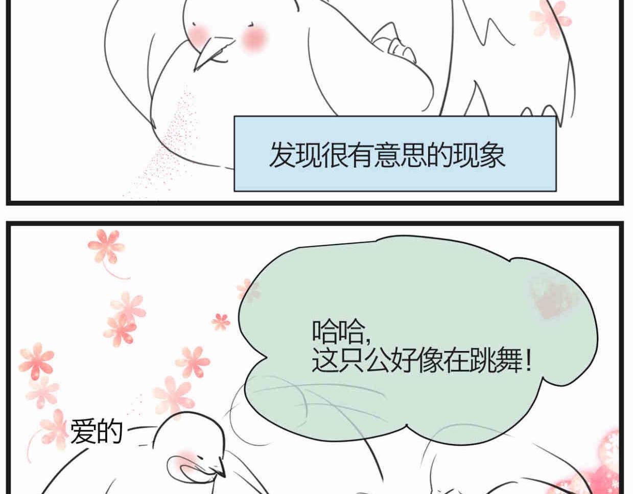 119.小鸡的爱情1