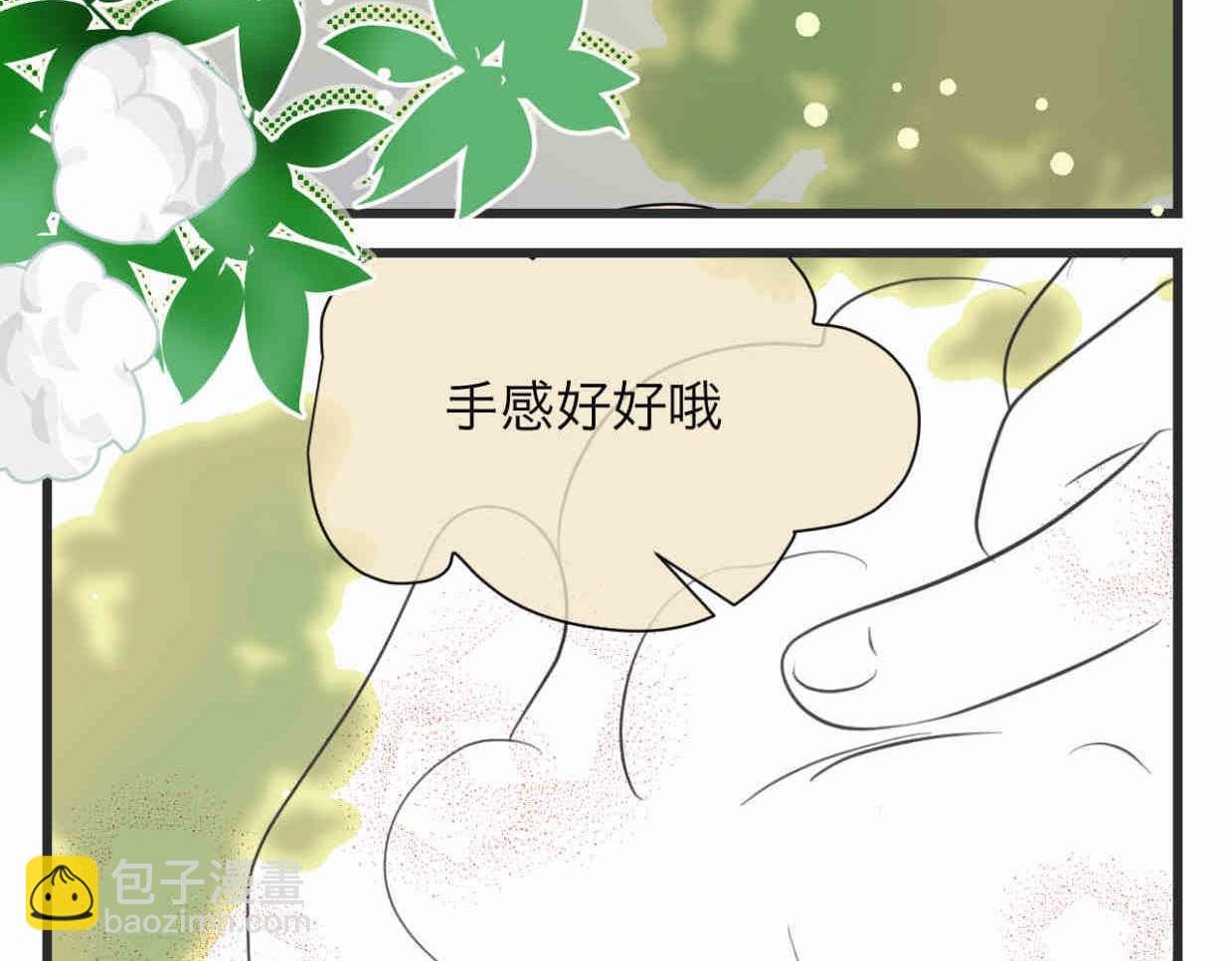 113.木棉花的种子3