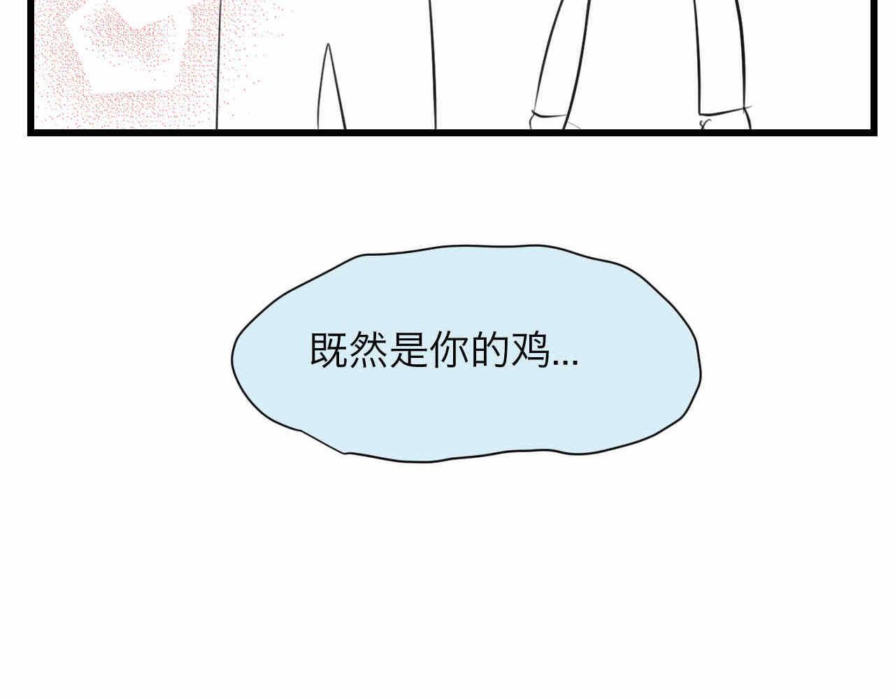 81.网红小鸡14