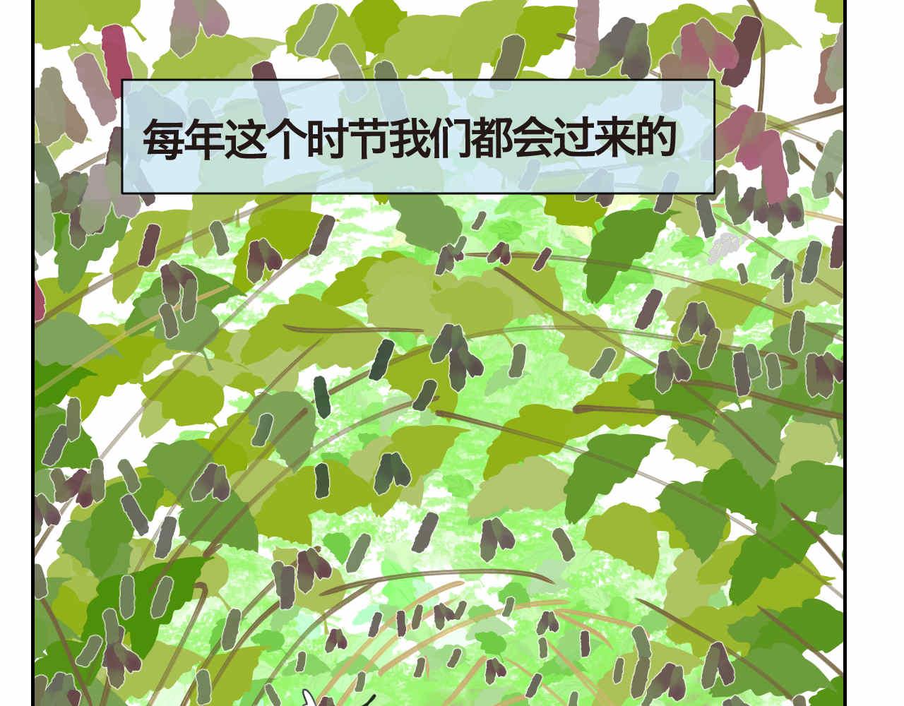 35.桑果园13