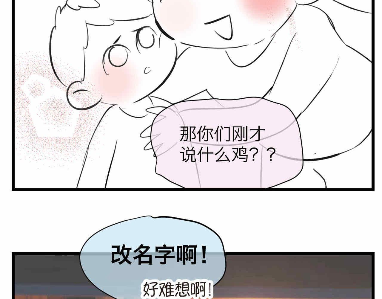 81.网红小鸡20