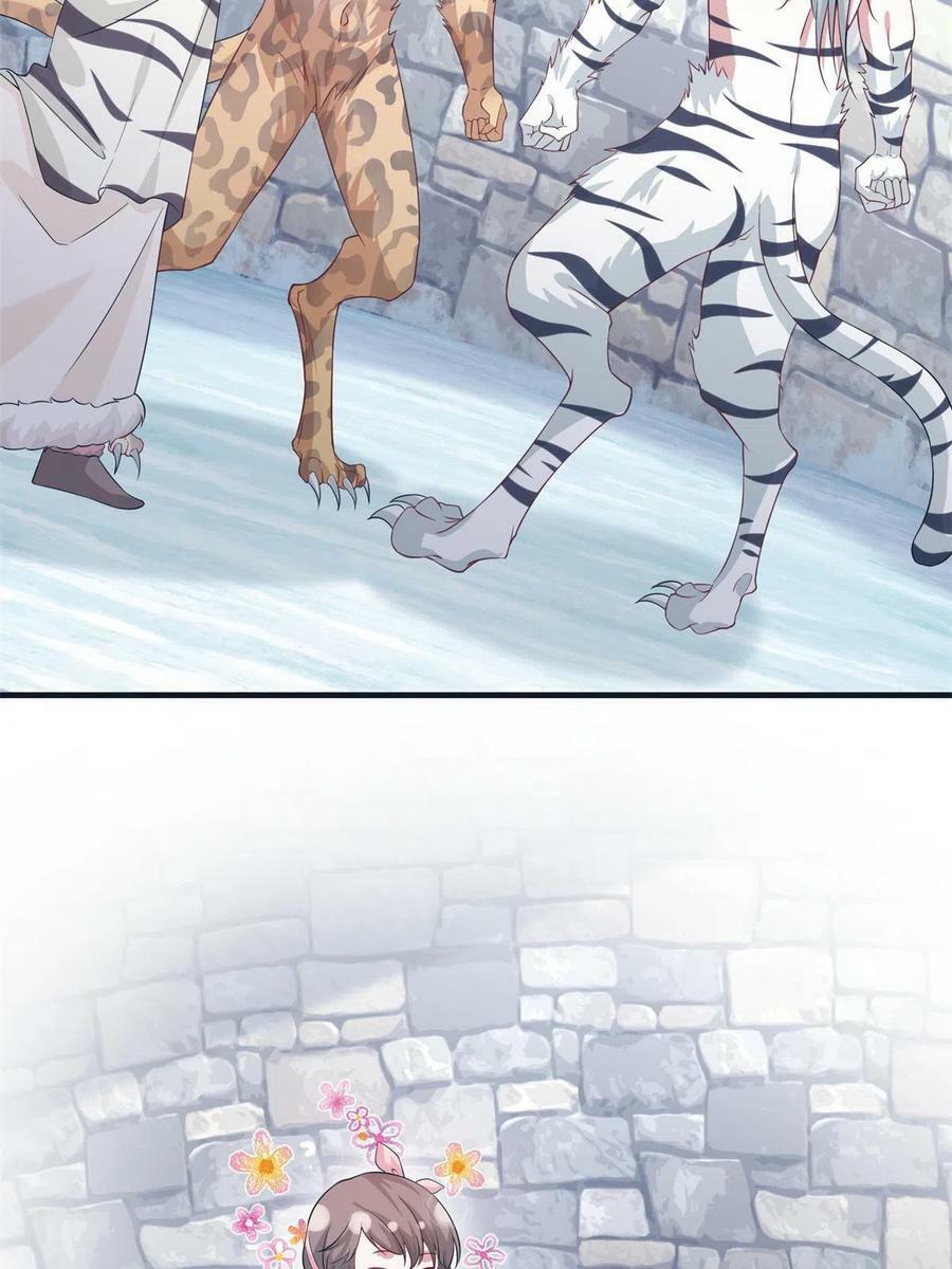42753