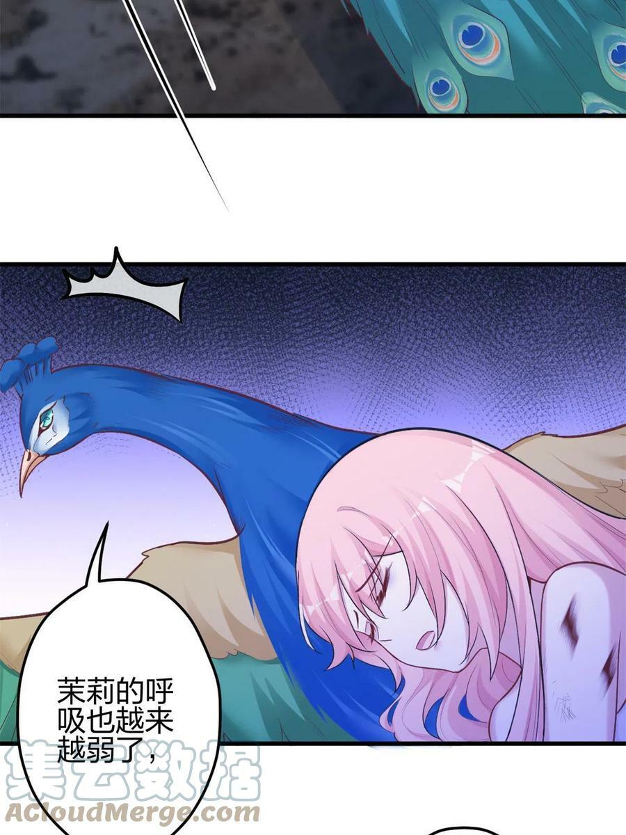 37036