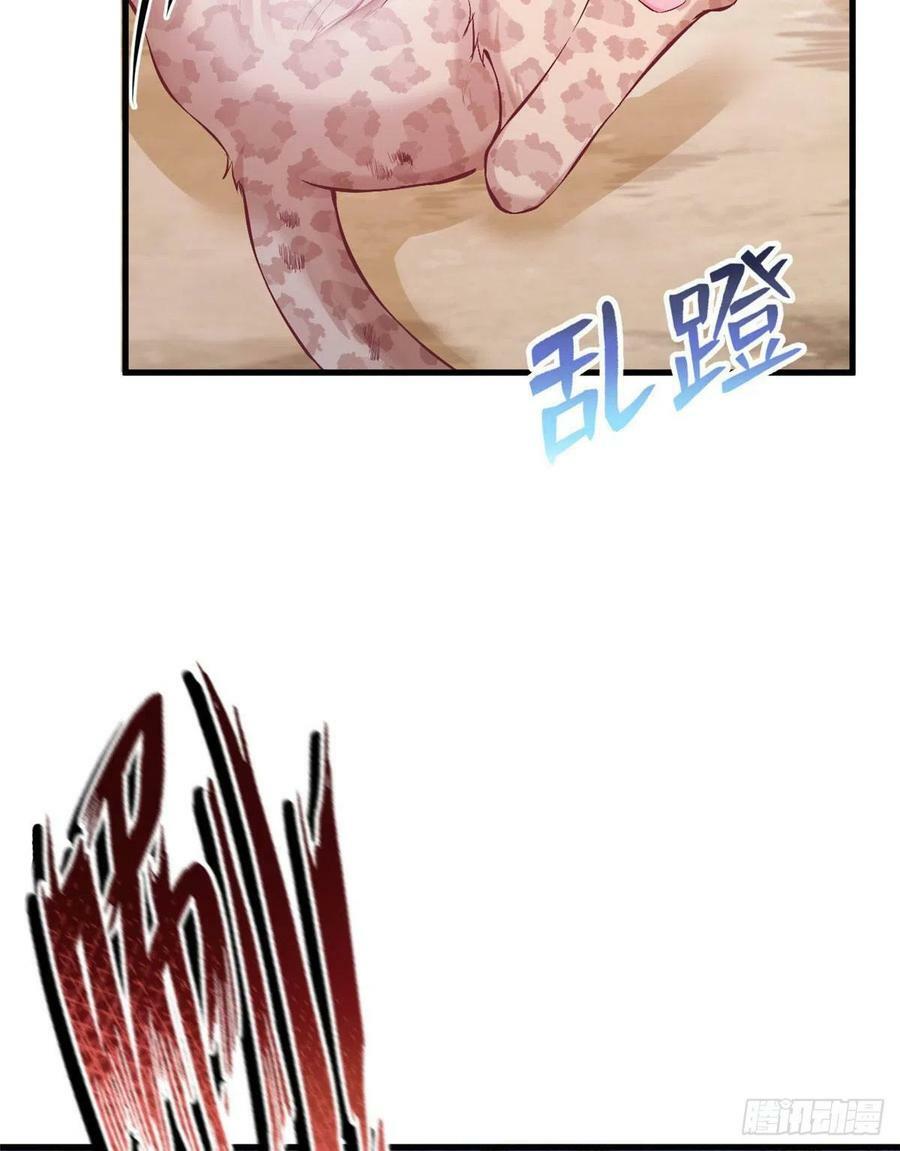 第204话17