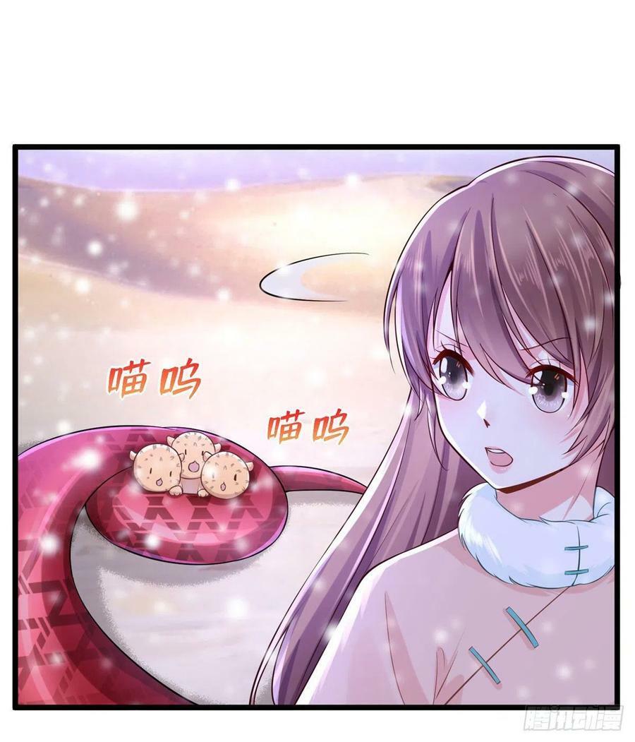 26216