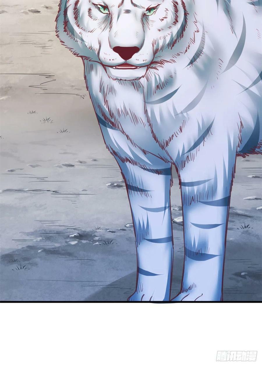 33114