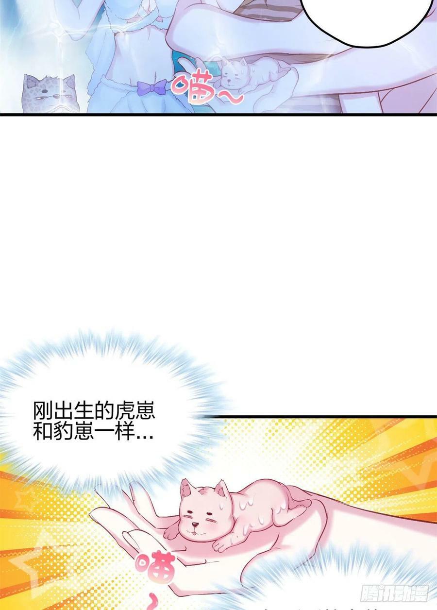 33316