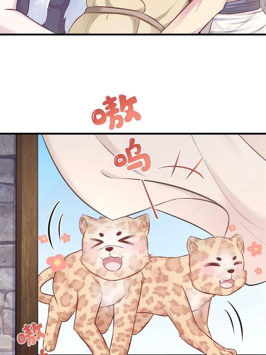 44126
