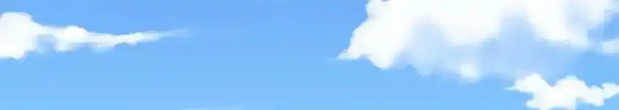 46663