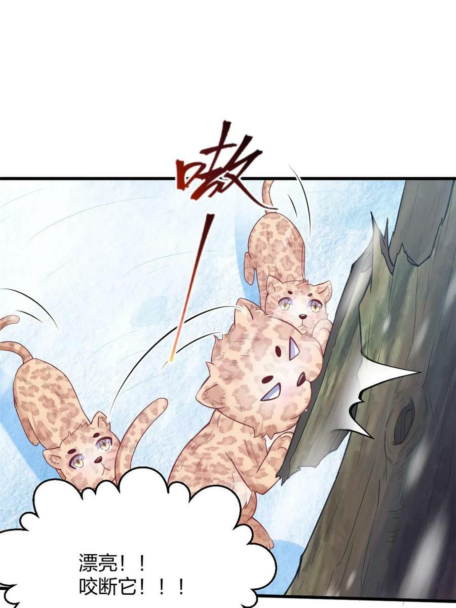 44313