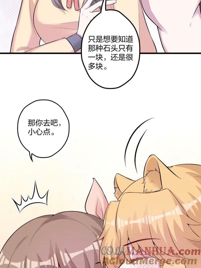 46548