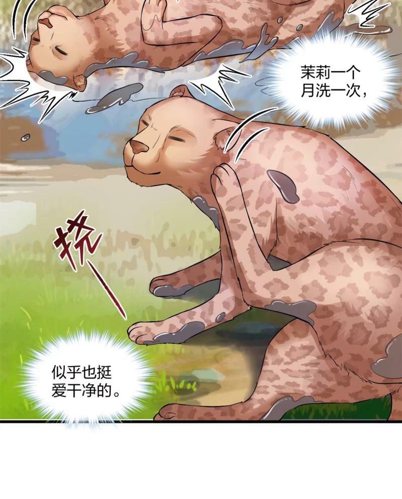 46520