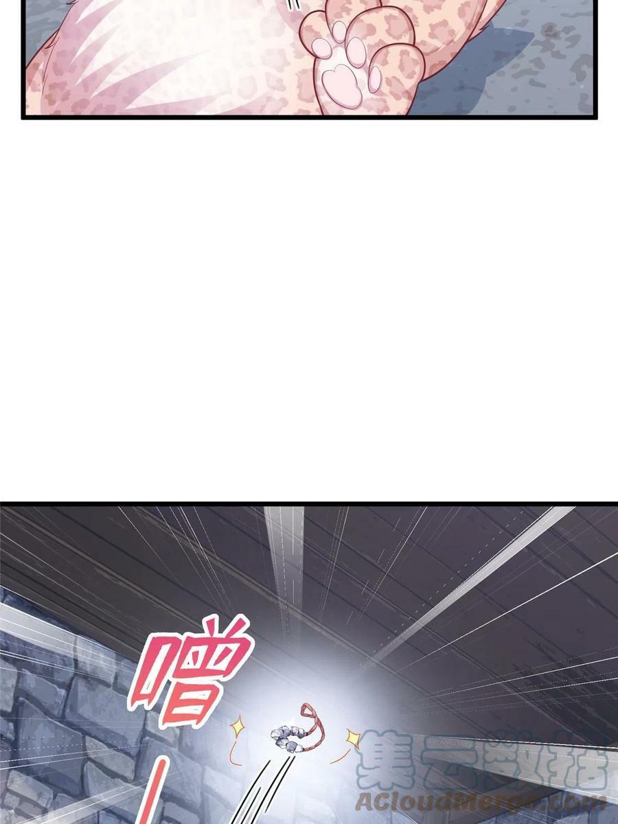43545
