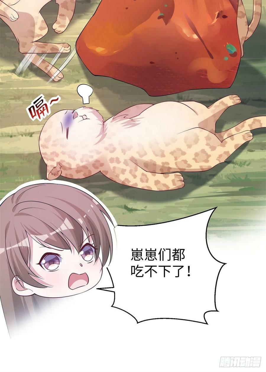 29235