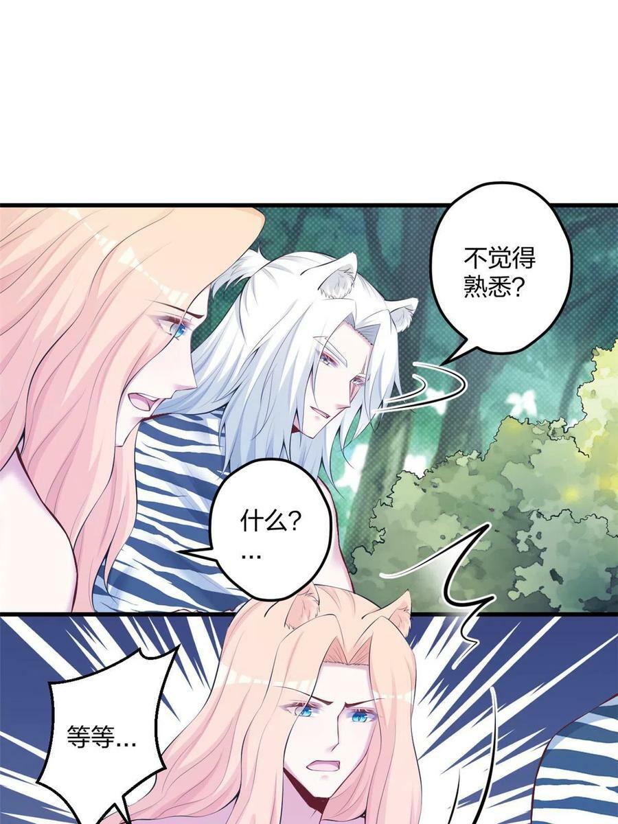 40223