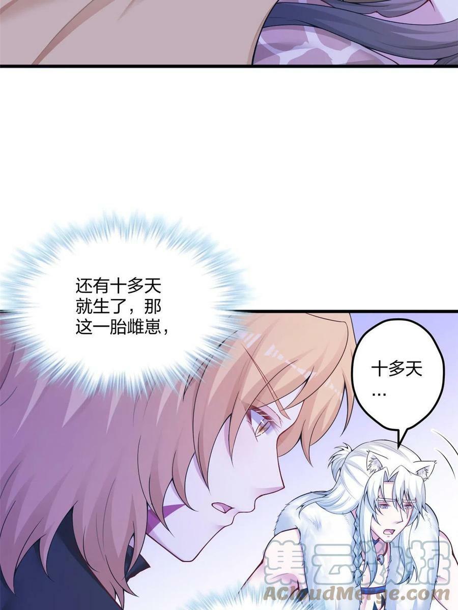 41627