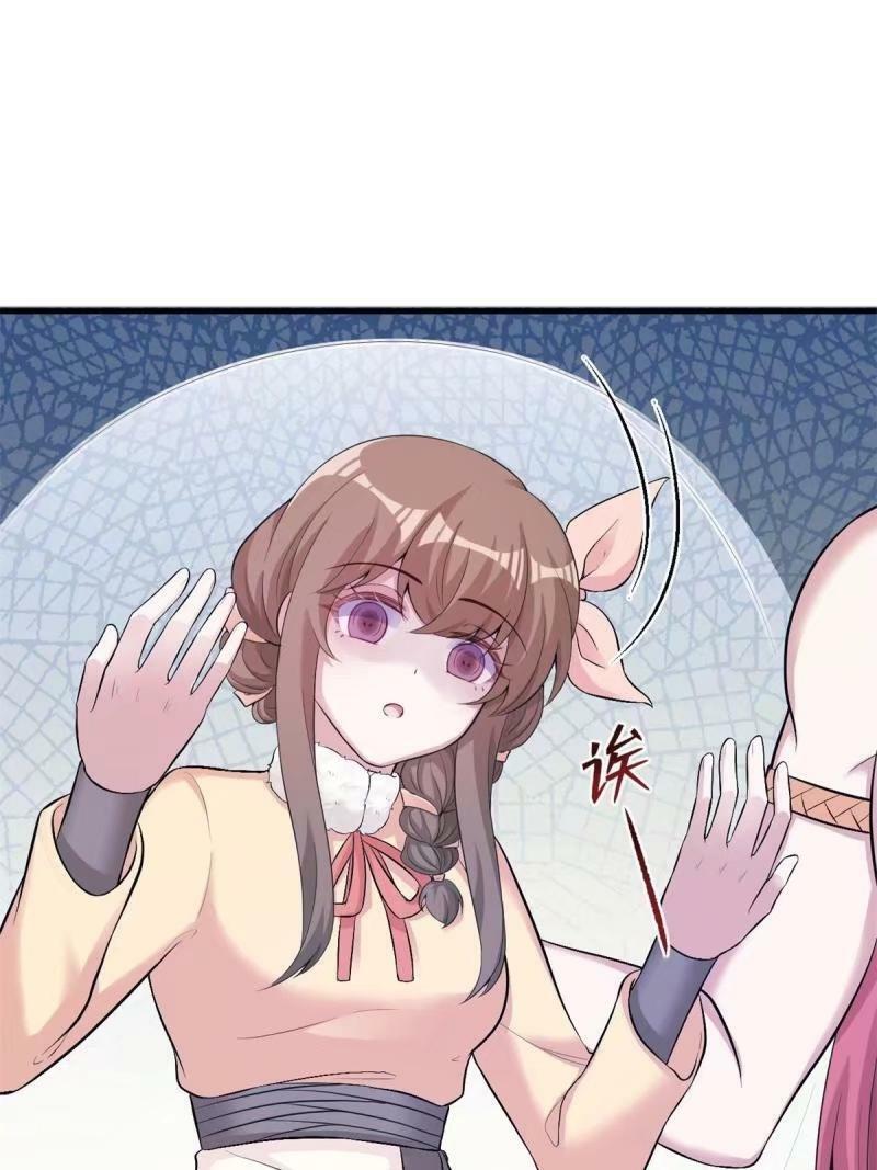 46558