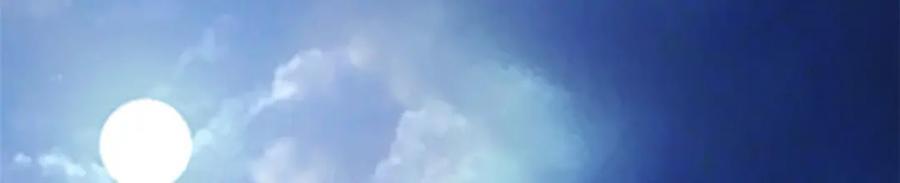 4955