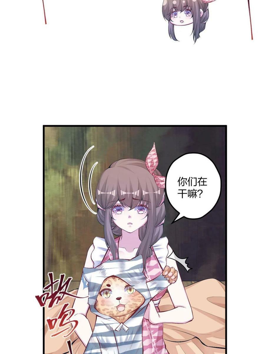 40538