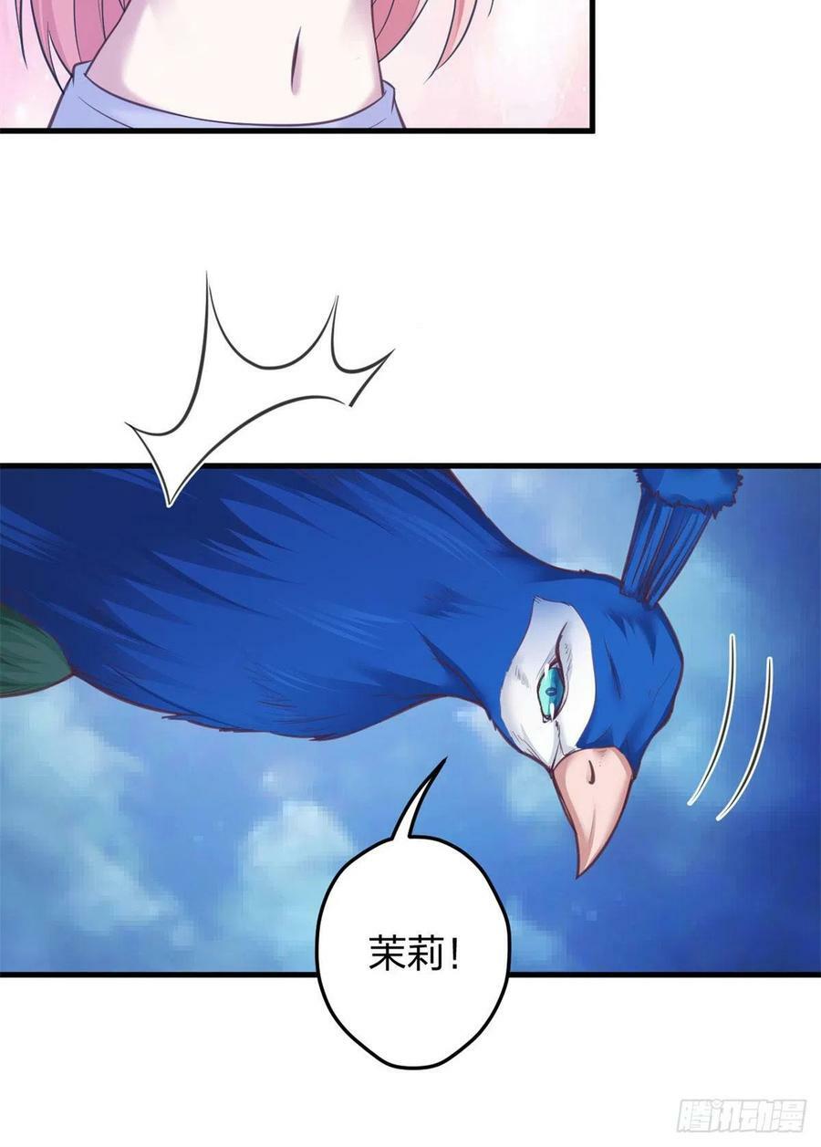 33141