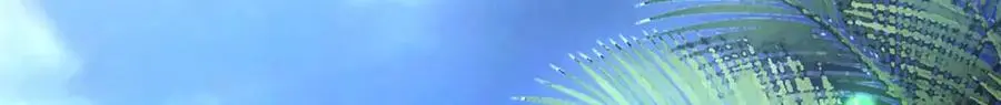 52556