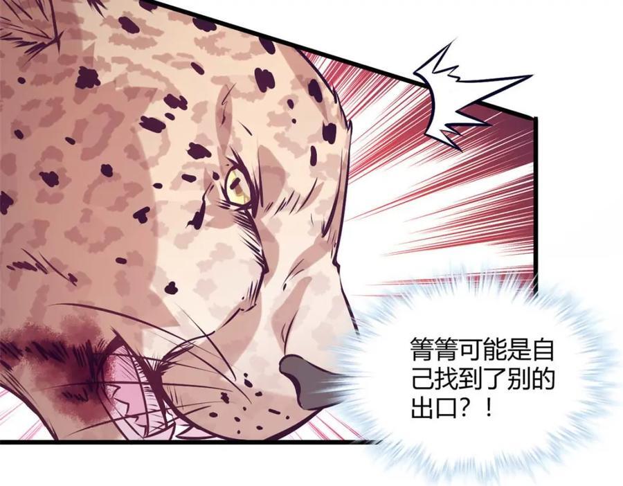 50697